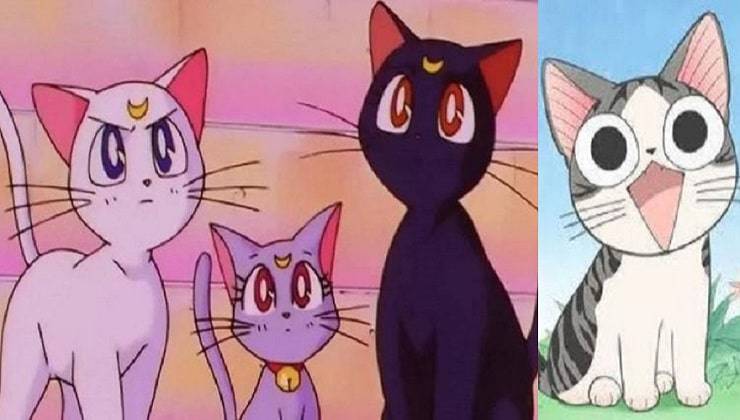mamá marinera gatti