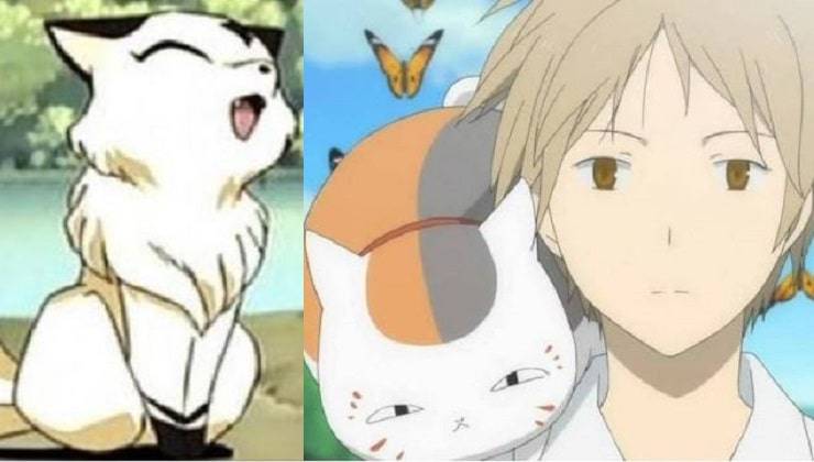 gatos anime manga