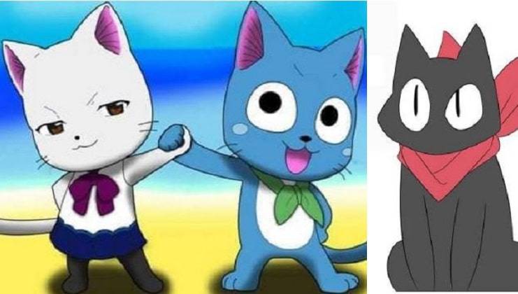 cola de hada gatti