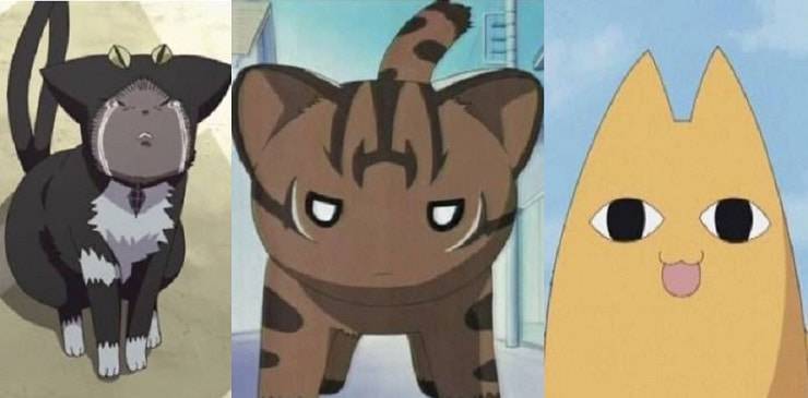 gatos anime manga