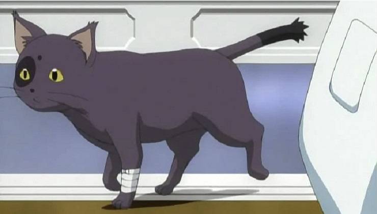 gato arturo anime