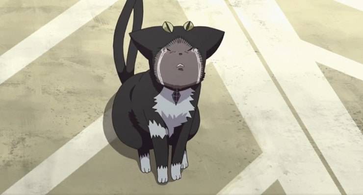 Gato Sith Exorcista Azul