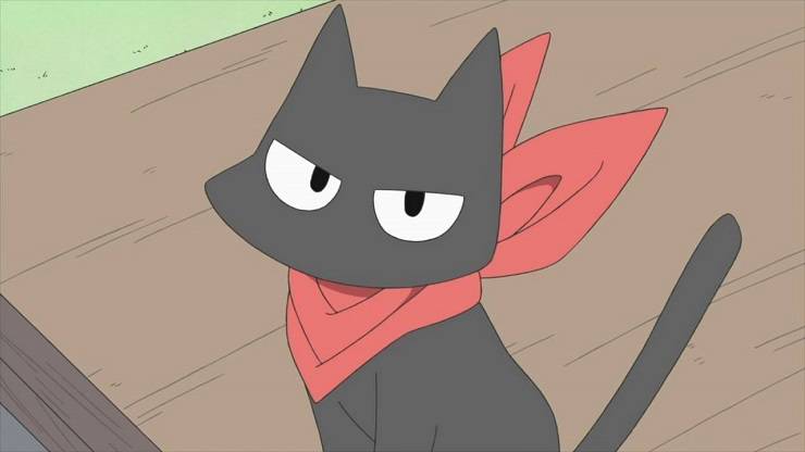 gatto mi vida ordinaria