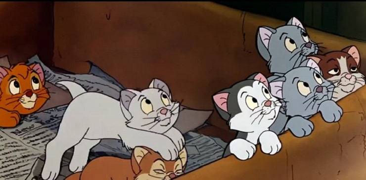 cuento gato Oliver