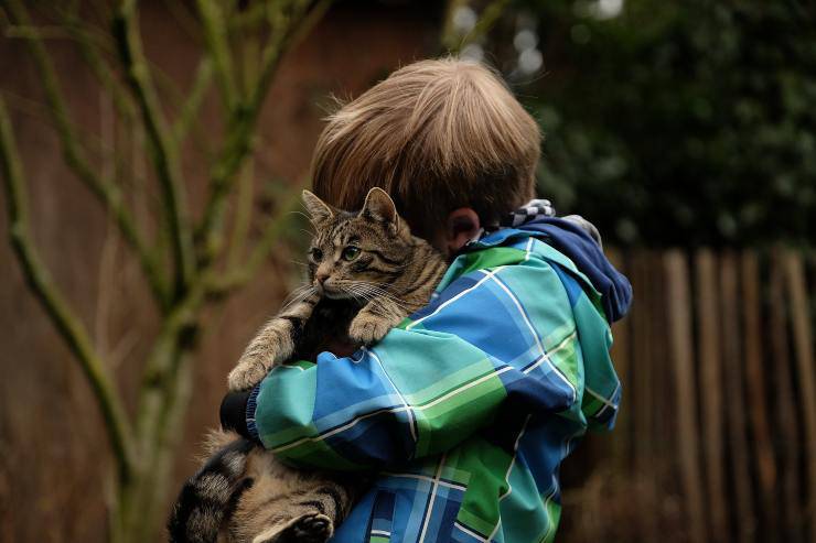 El peludo le teme al niño