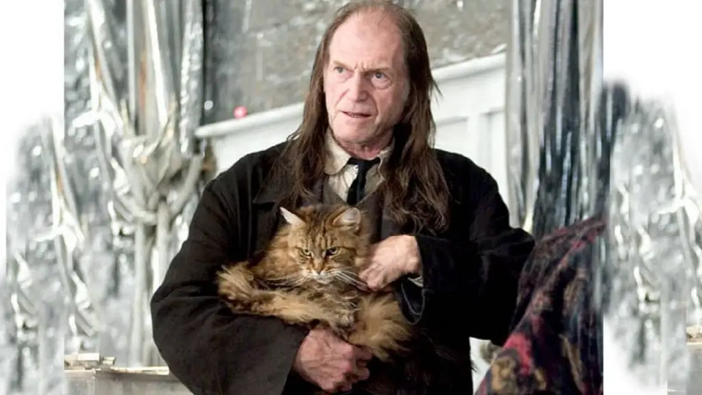 Gato Gazza Argus en Harry Potter nombre, raza, historia y curiosidades