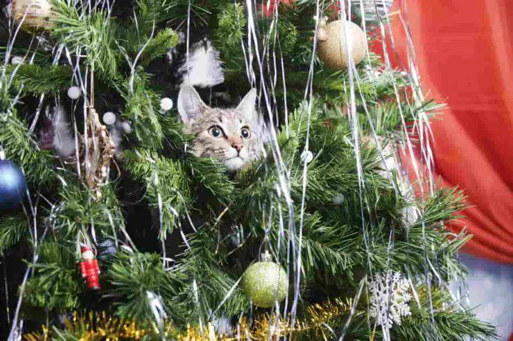 gato y arbol de navidad