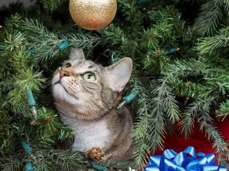Árbol de Navidad con temática felina