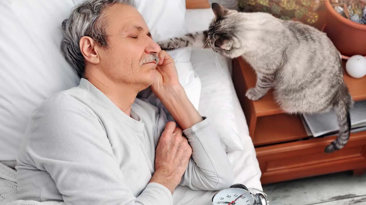 El gato me pone las patas en la cara por qué lo hace y cómo explicarlo