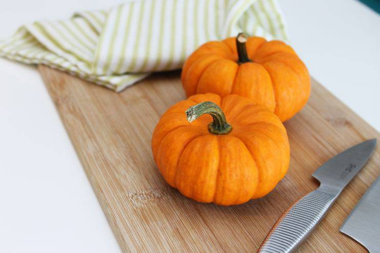 Snack de calabaza para el felino