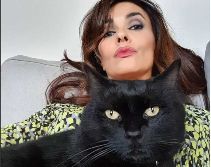 Maria Grazia Cucinotta: quiénes son sus gatos