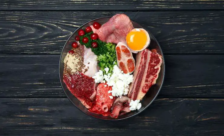 comida para perros
