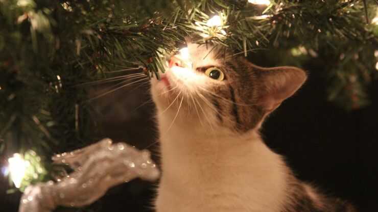 Árbol de Navidad con temática felina