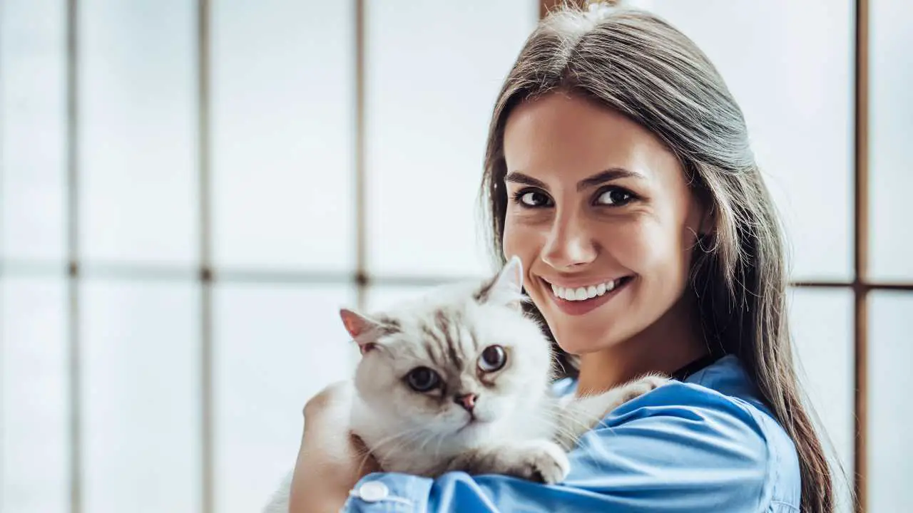 Veterinario sonriente sosteniendo un gato en sus brazos El gato en el registro de mascotas del Valle de Aosta