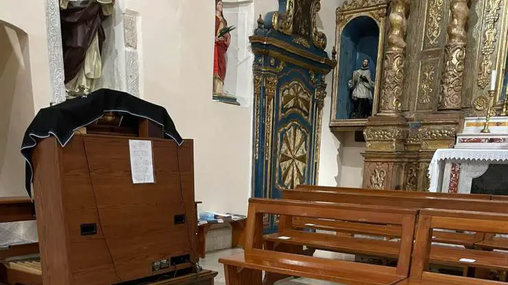 pastor iglesia perro