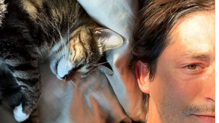 Todas las curiosidades sobre los gatos de Francesco Oppini Francesco Oppini: quiénes son sus gatos