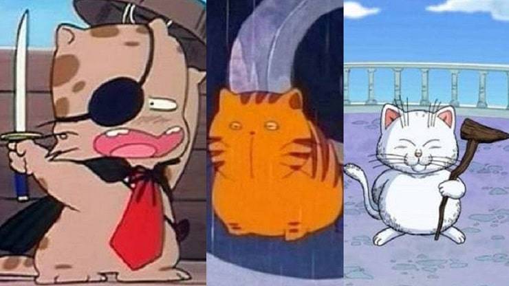 gatos anime manga