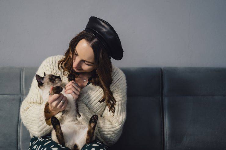 mujer joven, tenencia, un, gato siamés La responsabilidad del cuidador de gatos