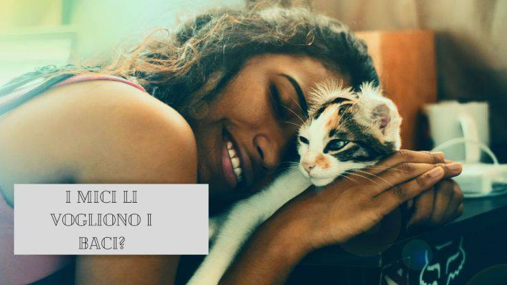 Lo que piensan los gatos cuando los besas Lo que piensan los gatos cuando los besas