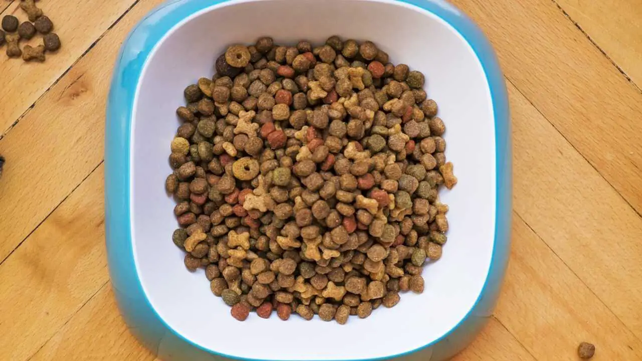 cuenco con croquetas alimentación montañesa