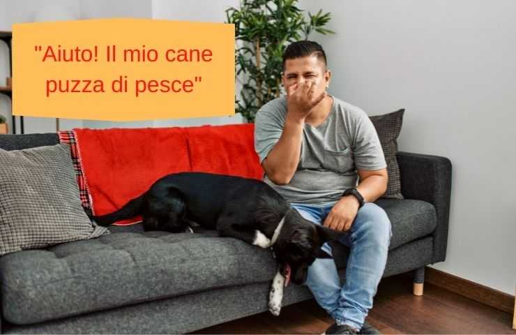 Huele a aliento de perro y a trasero.