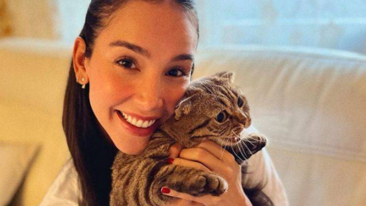 Quiénes son los gatos de Paola Di Benedetto Paola Di Benedetto y sus gatos