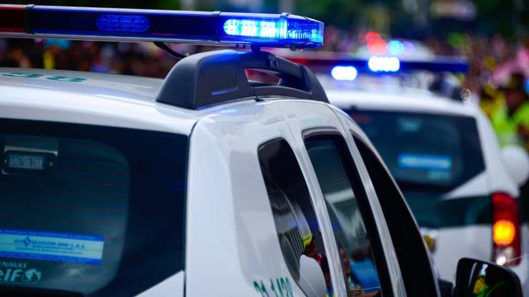 perro va a la policia