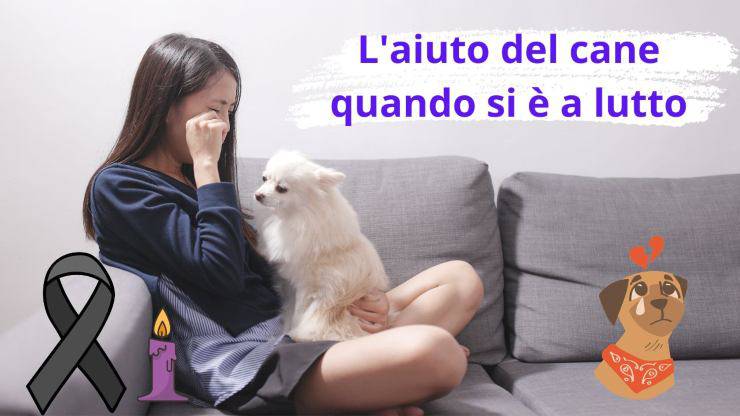 Ten un perro cuando estés de luto