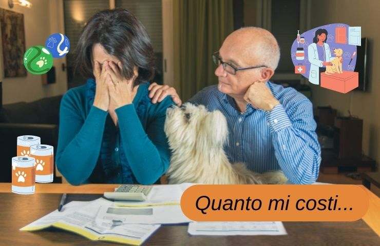 Gastos de mantenimiento de Fido