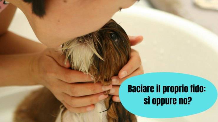 Besar a tu perro en la boca es un hábito peligroso Besar a tu perro en la boca es un hábito peligroso