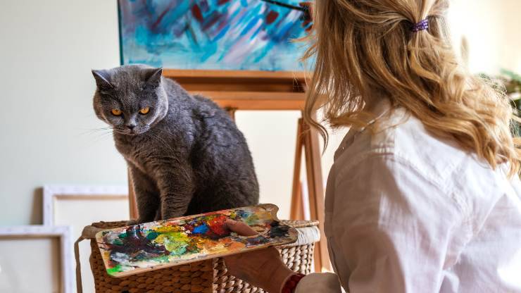 los gatos pueden ver los colores