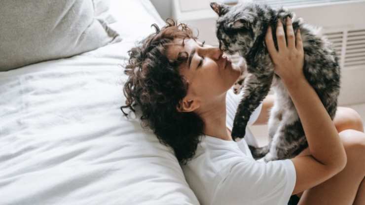 el gato huele el aliento