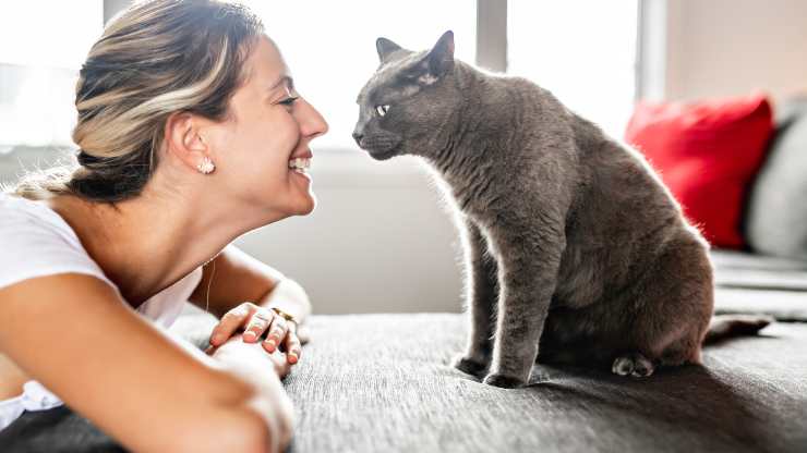 ¿Por qué el hombre maúlla al gato?