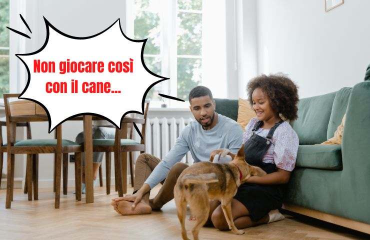 Errores que no debes cometer al jugar con Fido