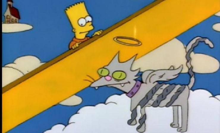perros simpson