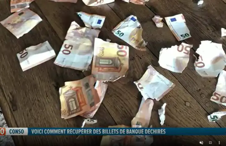 Billetes en euros rotos por Sally