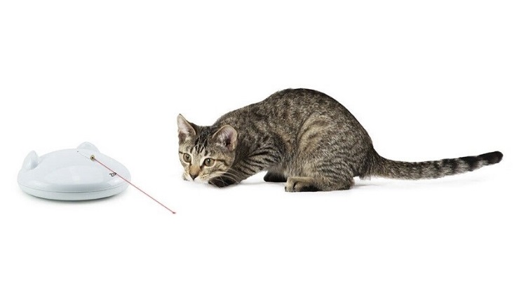 regalos para gato navidad 2022