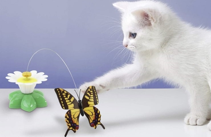 juegos de gatos