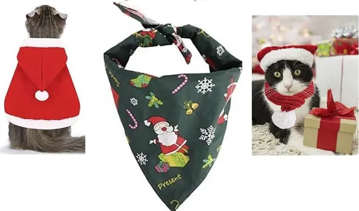 Regalos para gato