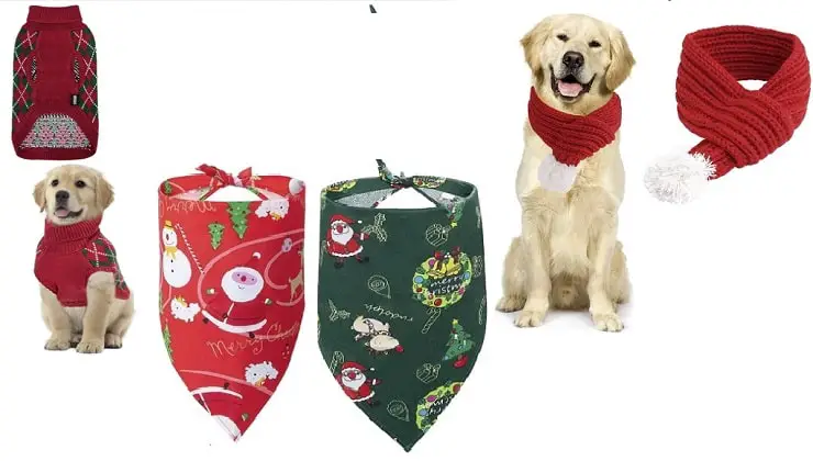 perro ropa de navidad