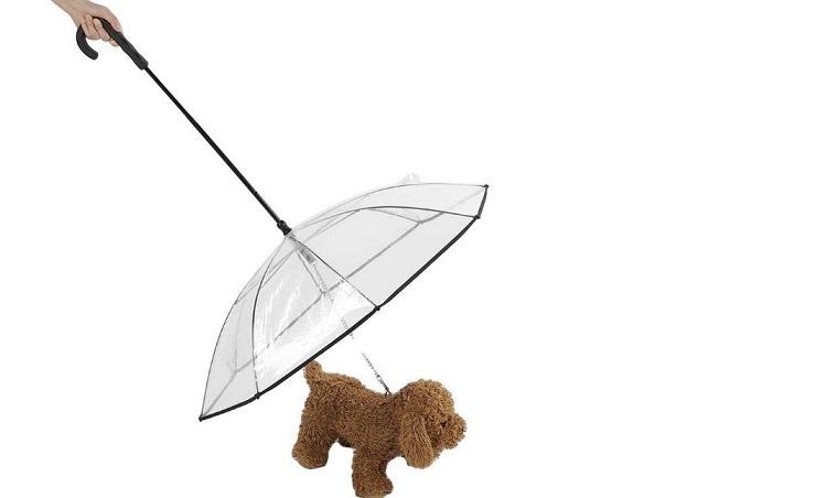 regalos de navidad para perros 2022