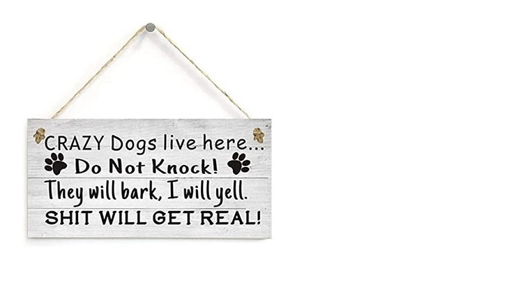 Regalos navideños para dueños de perros