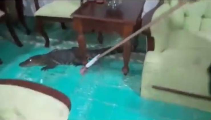 mujer cazando animales