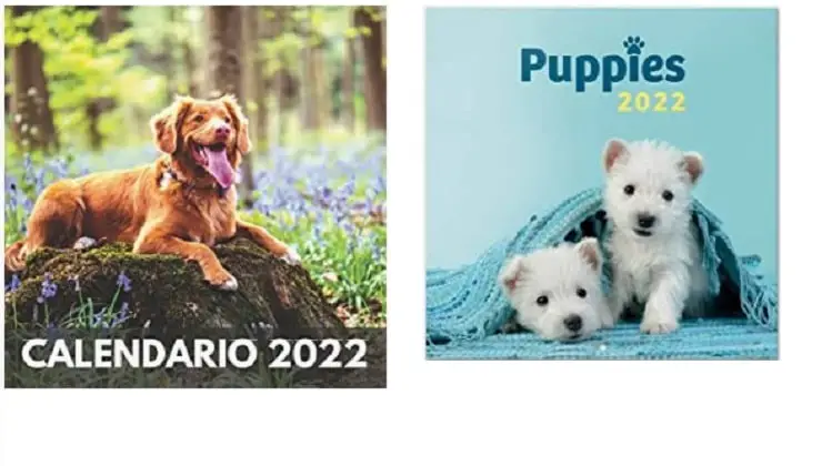 ideas de regalos baratos para los amantes de los perros