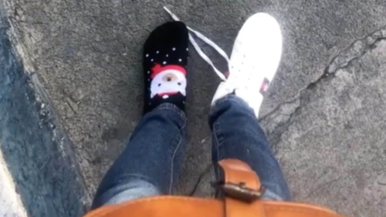 Un perro le roba un zapato en plena calle: es "surrealista" - VIDEO
