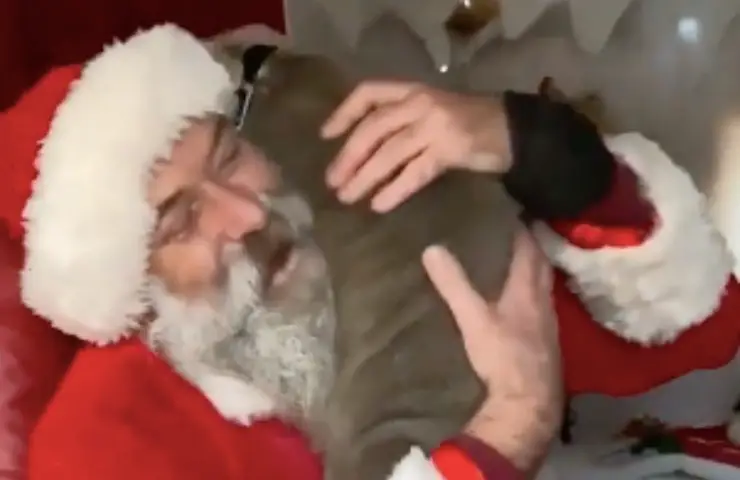 perro capone santa claus