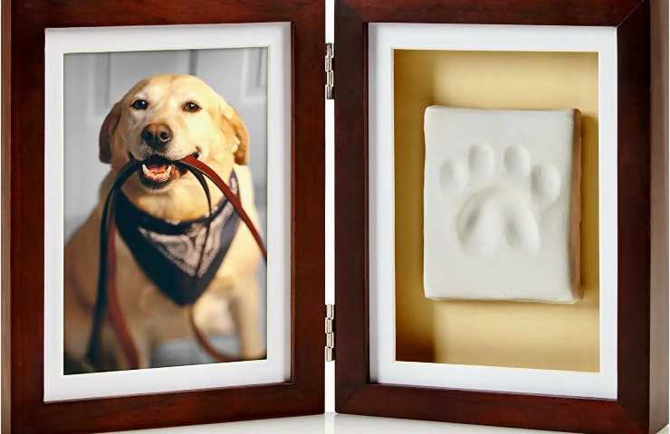 Marco de fotos con huella de perro