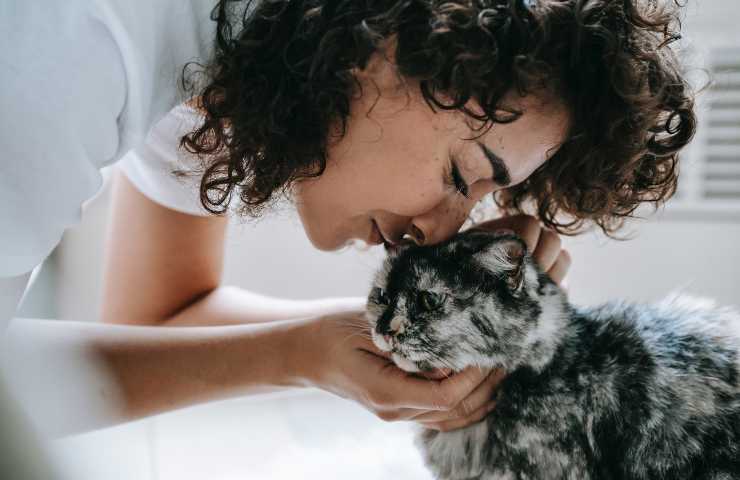 Mujer y gato cariñoso