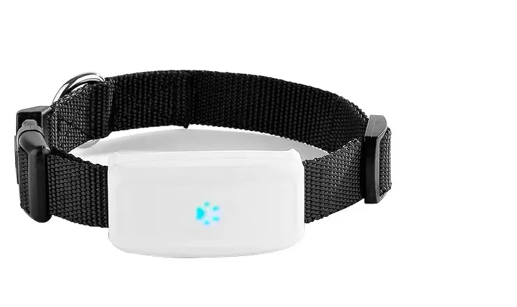 ideas de regalos para los amantes de los perros