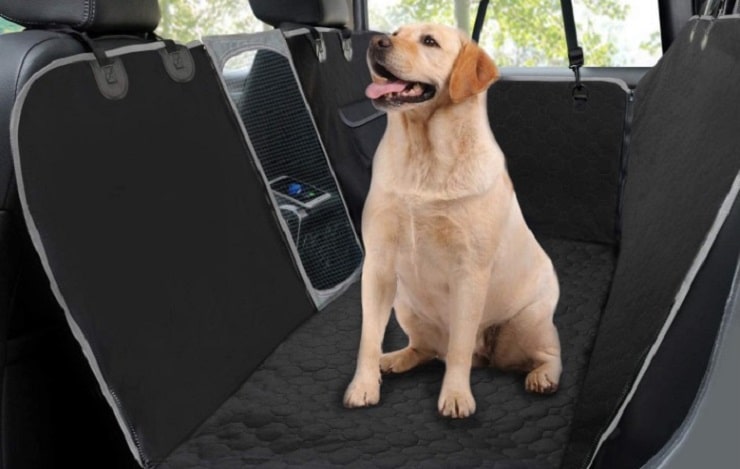 Juego de funda nórdica y funda de almohada con temática de perros 50 euros